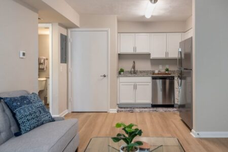 View of a living room and kitchen area